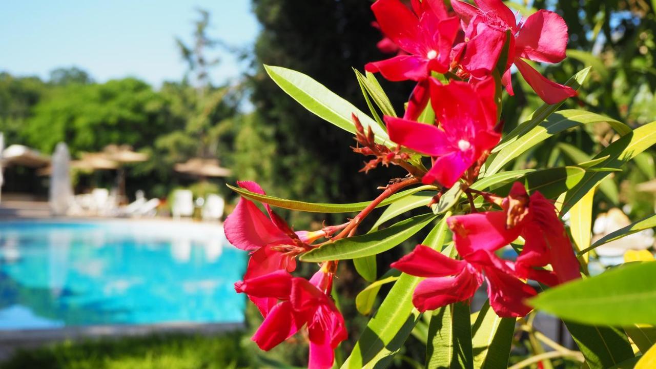 Joya Park Apartments Golden Sands Εξωτερικό φωτογραφία